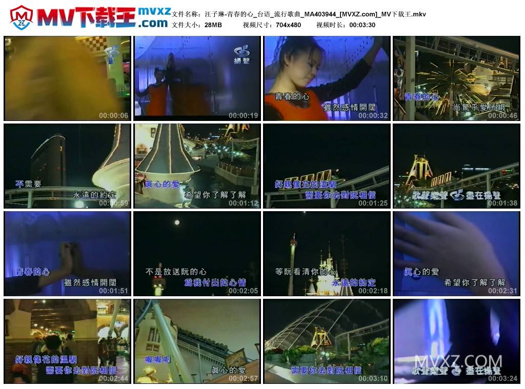 汪子琳-青春的心_台语_流行歌曲_MA403944